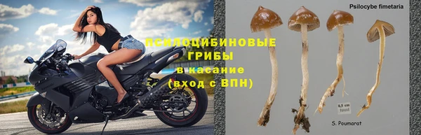 а пвп мука Алексеевка