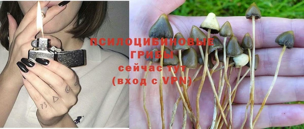 mdpv Алексин