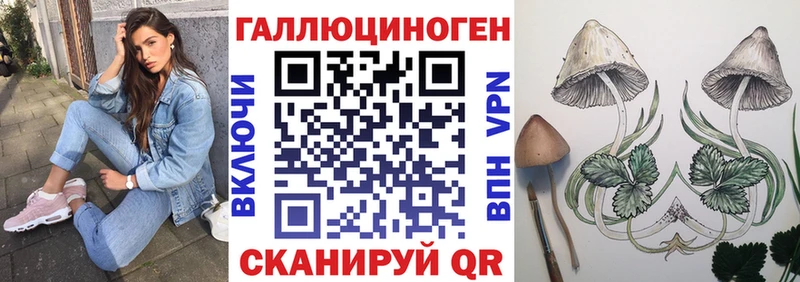купить  цена  Ржев  Галлюциногенные грибы MAGIC MUSHROOMS 